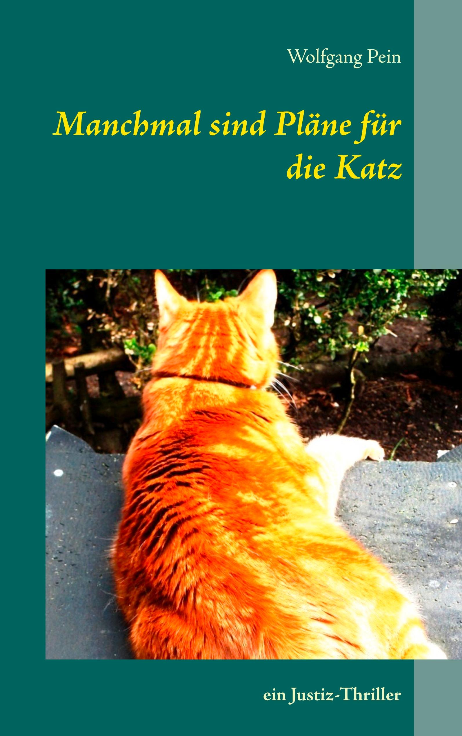 Manchmal sind Pläne für die Katz