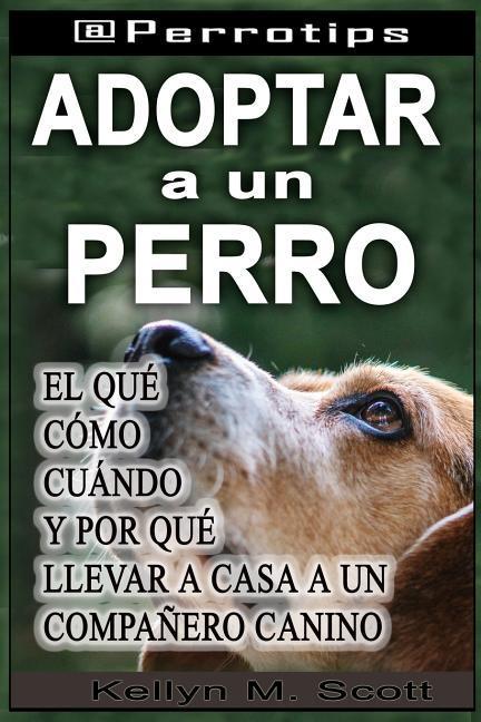 @perrotips: Adoptar Un Perro: El Qu