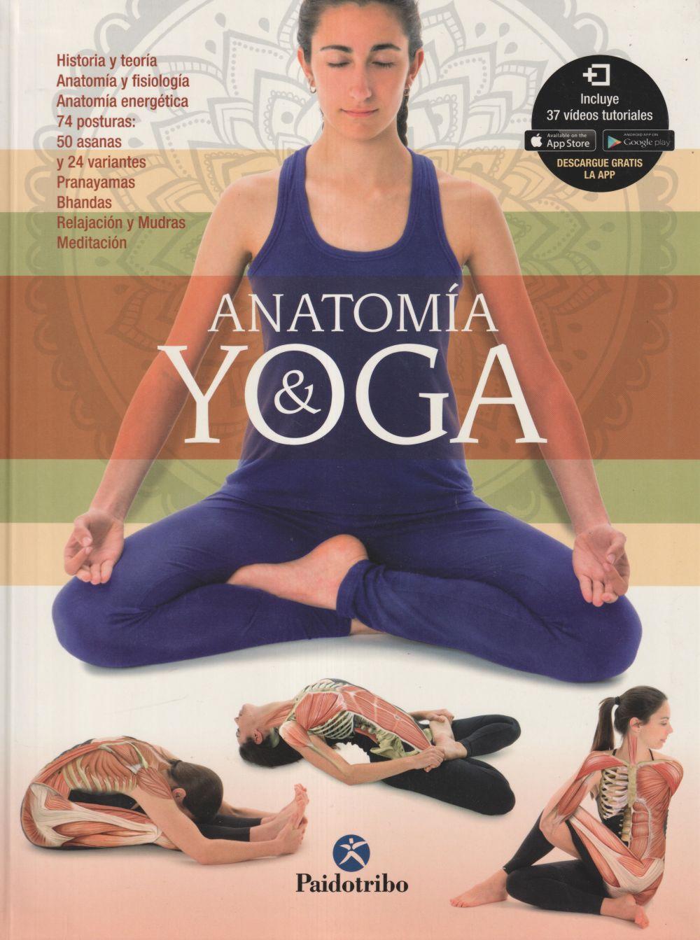 Anatomía & yoga