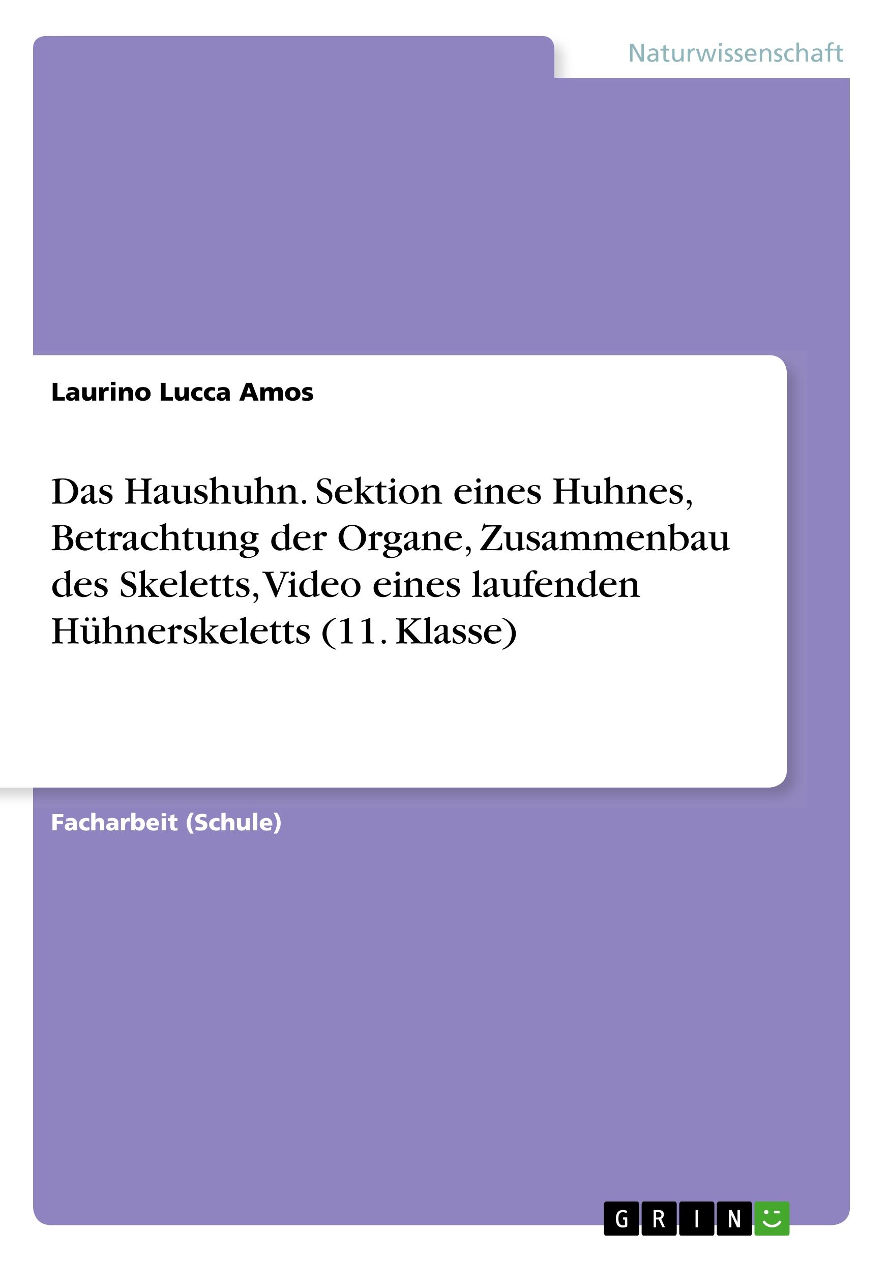 Das Haushuhn. Sektion eines Huhnes, Betrachtung der Organe, Zusammenbau des Skeletts, Video eines laufenden  Hühnerskeletts (11. Klasse)