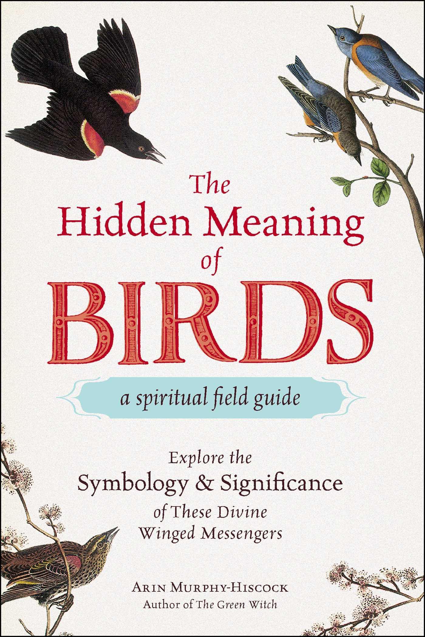 The Hidden Meaning of Birds--A Spiritual Field Guide