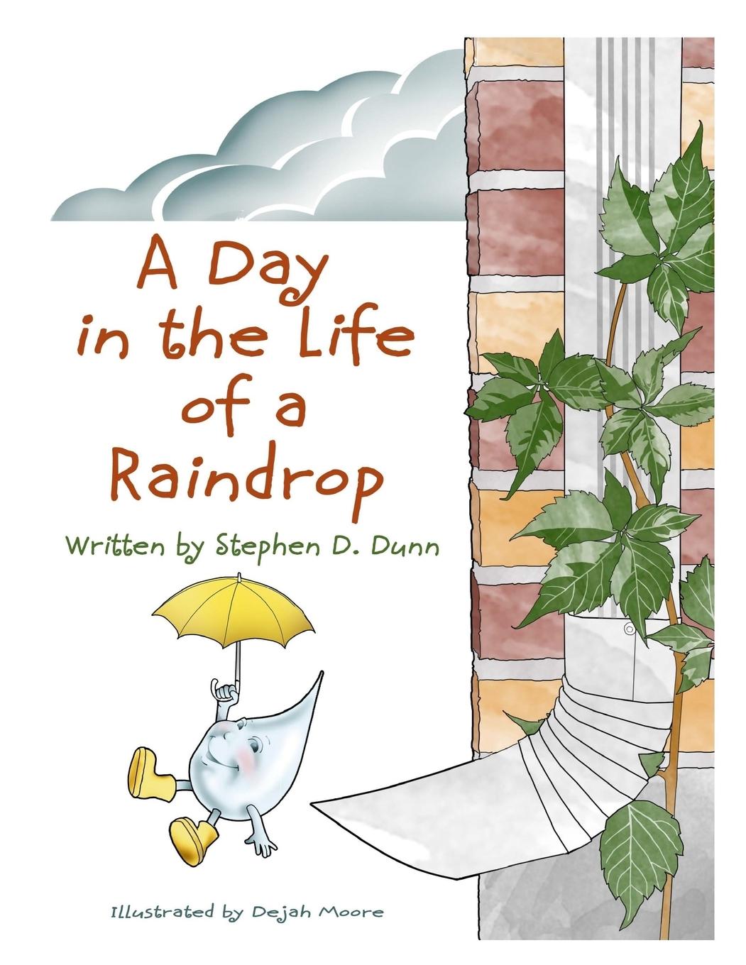 A Day In The Life Of A Raindrop