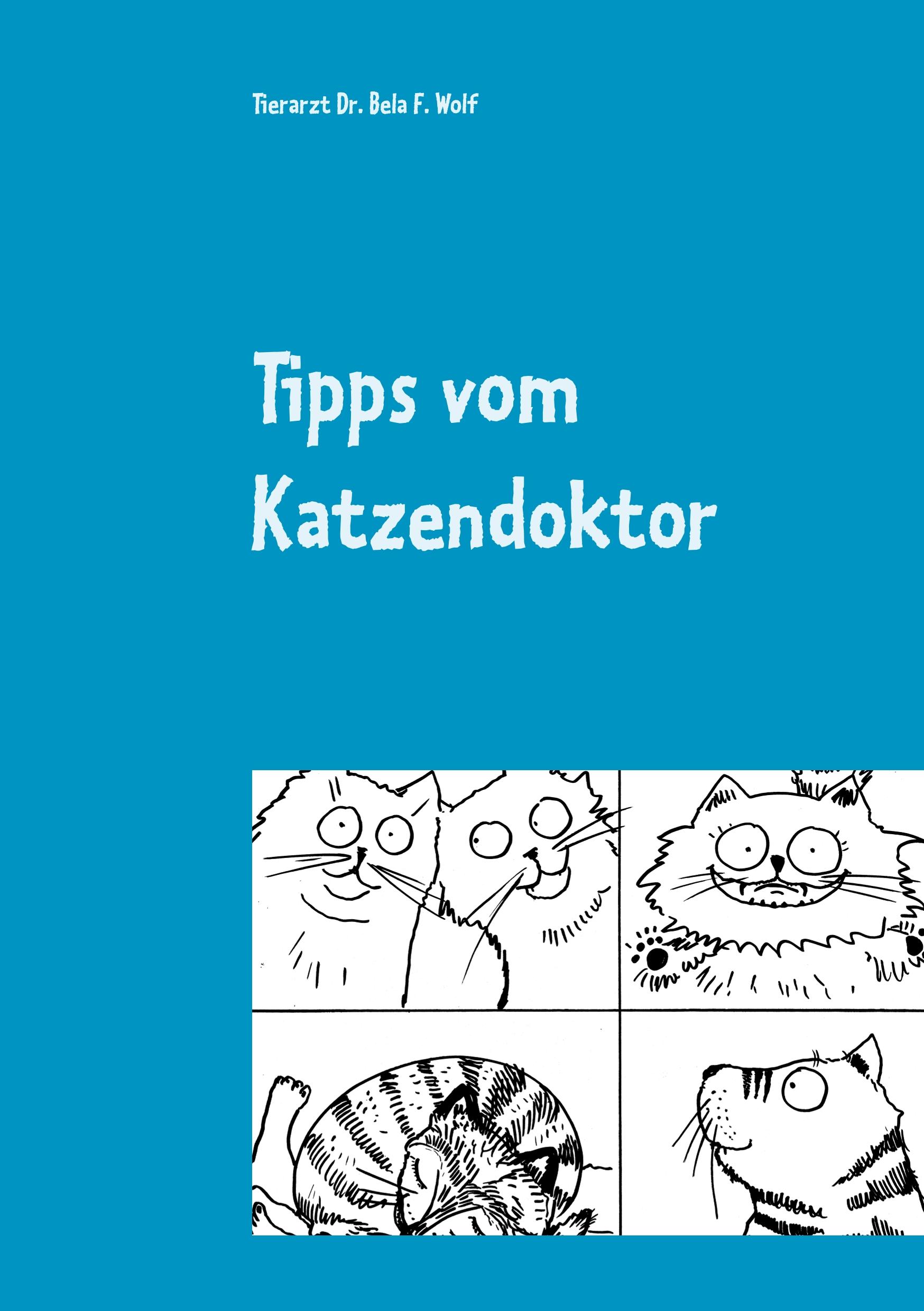 Tipps vom Katzendoktor