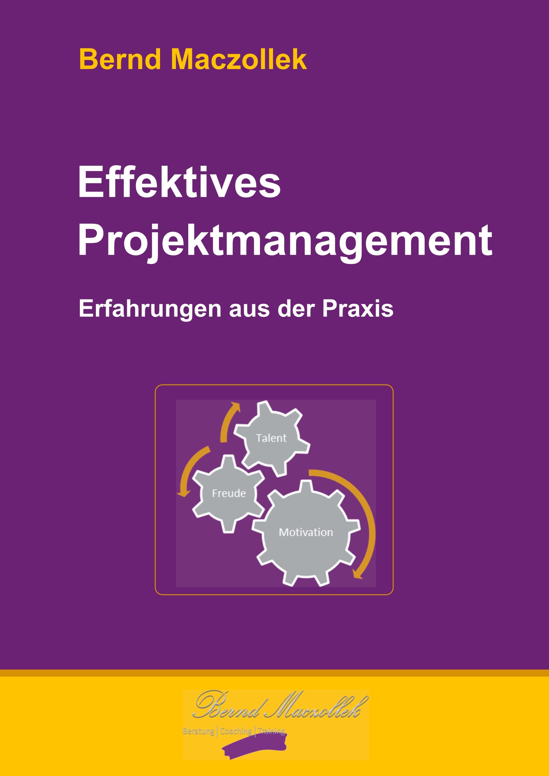 Effektives Projektmanagement