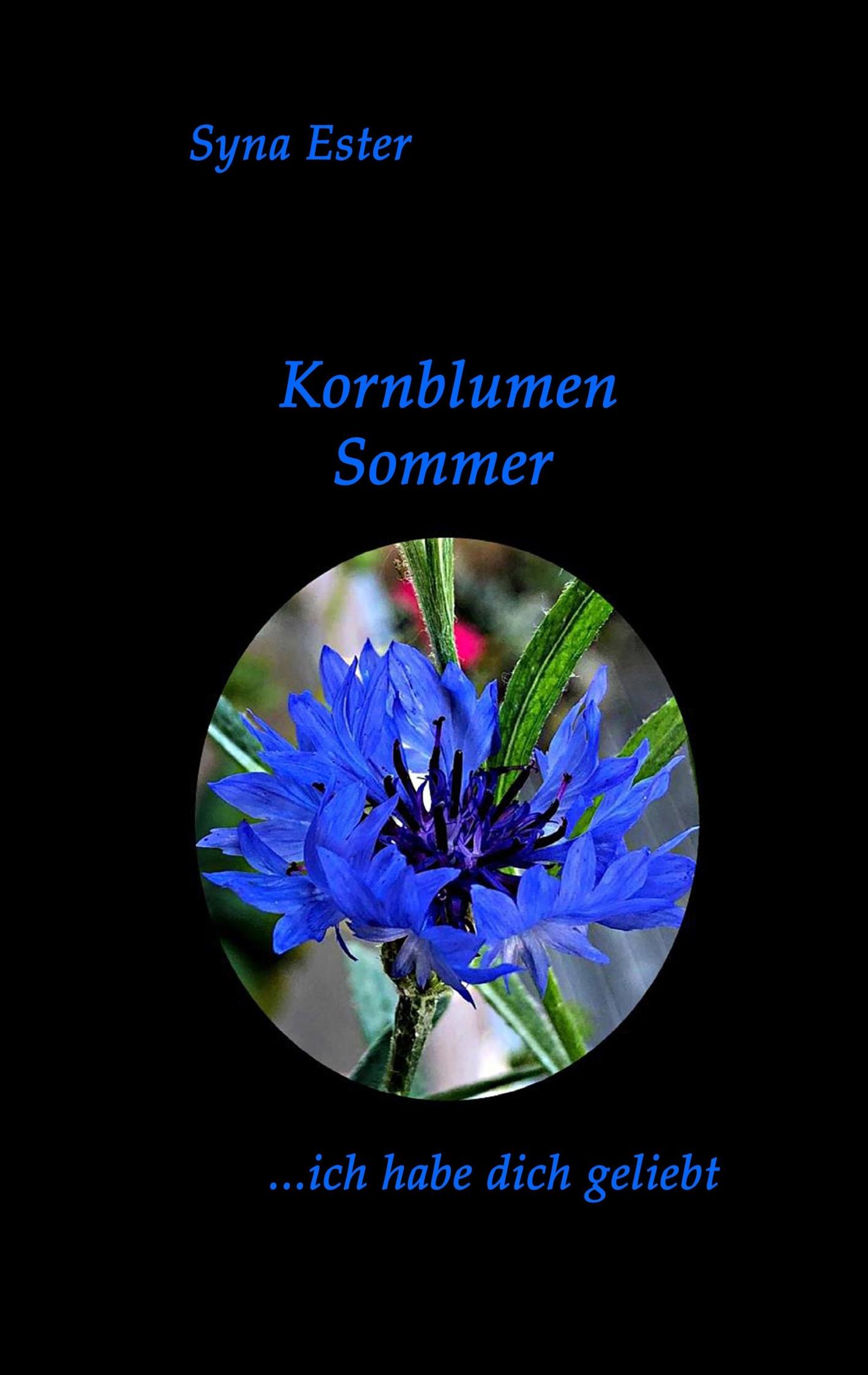 Kornblumen Sommer