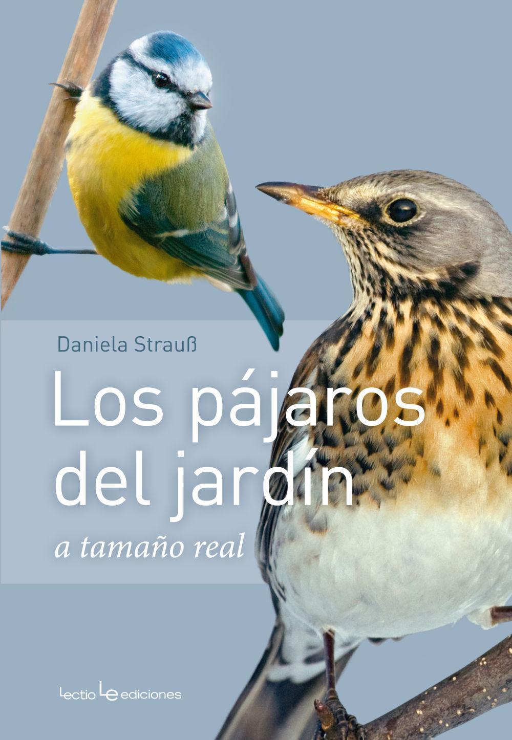 Los pájaros del jardín : a tamaño natural