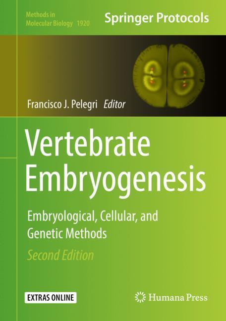 Vertebrate Embryogenesis