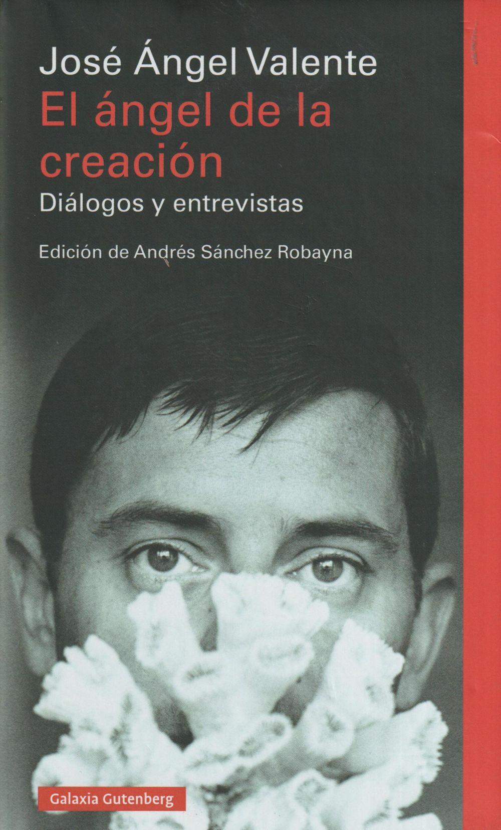 El ángel de la creación : diálogos y entrevistas