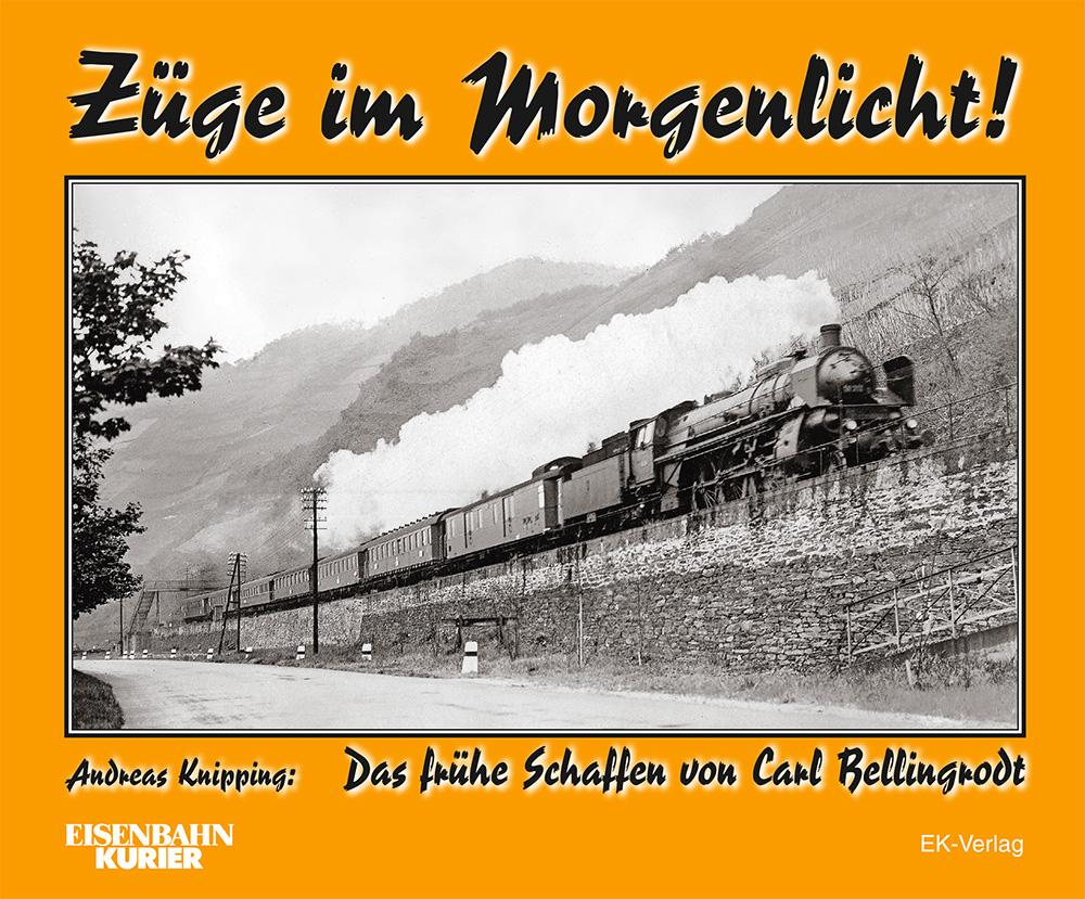 Züge im Morgenlicht