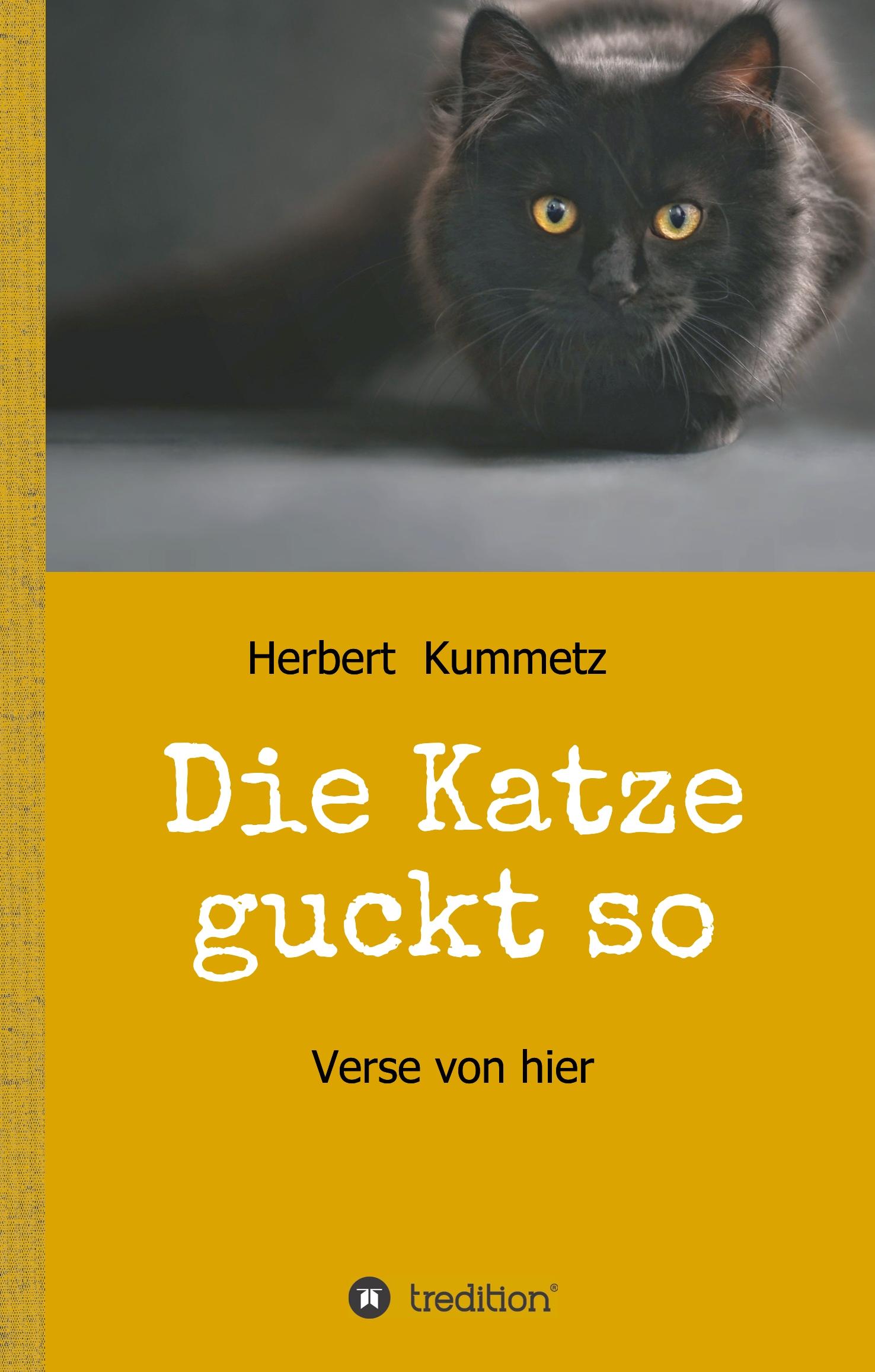 Die Katze guckt so