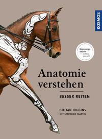 Anatomie verstehen - besser reiten