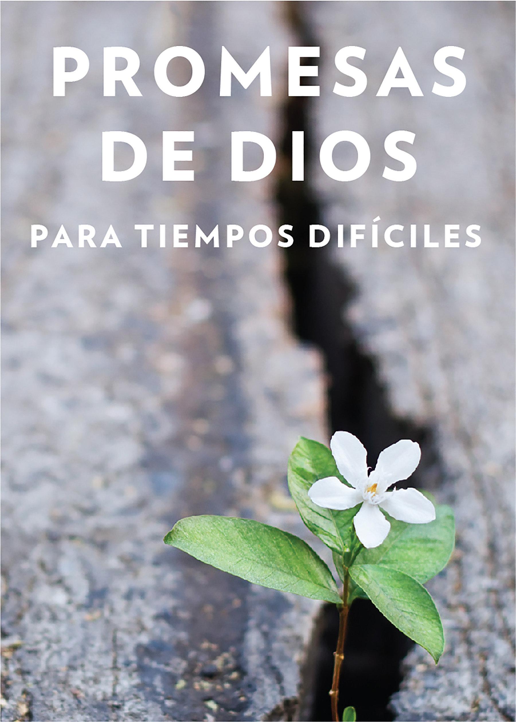 Promesas de Dios Para Tiempos Difíciles / God S Promises When You Are Hurting