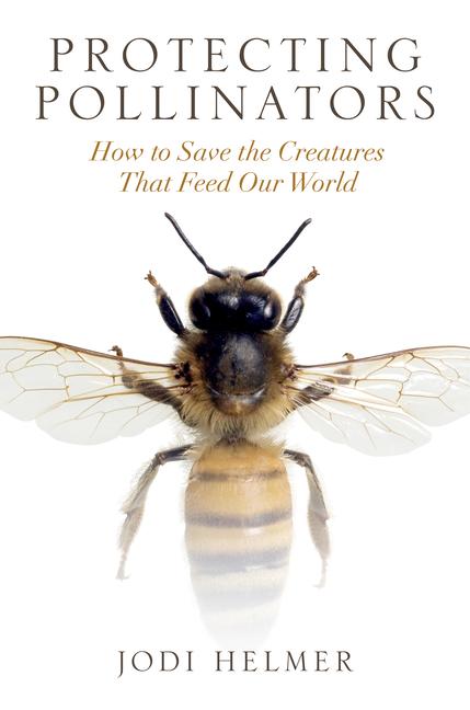 Protecting Pollinators: How to Save the Creatures That Feed Our World