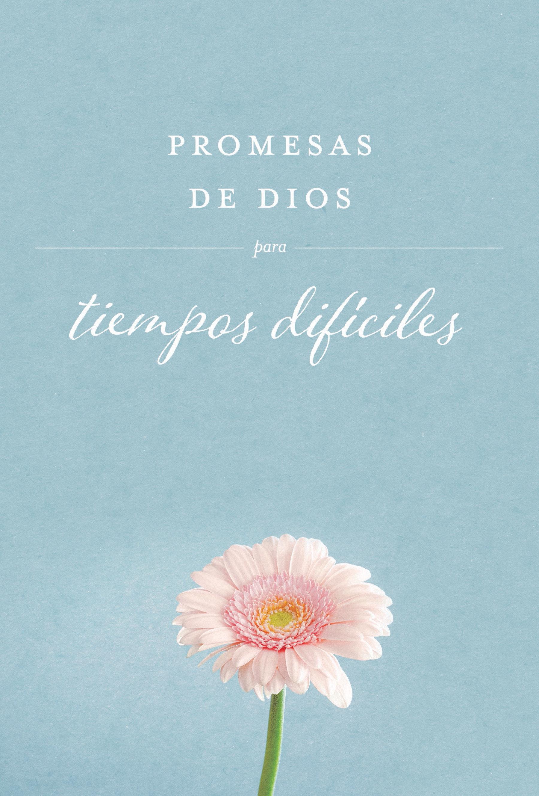 Promesas de Dios Para Tiempos Difíciles / God's Promises When You Are Hurting