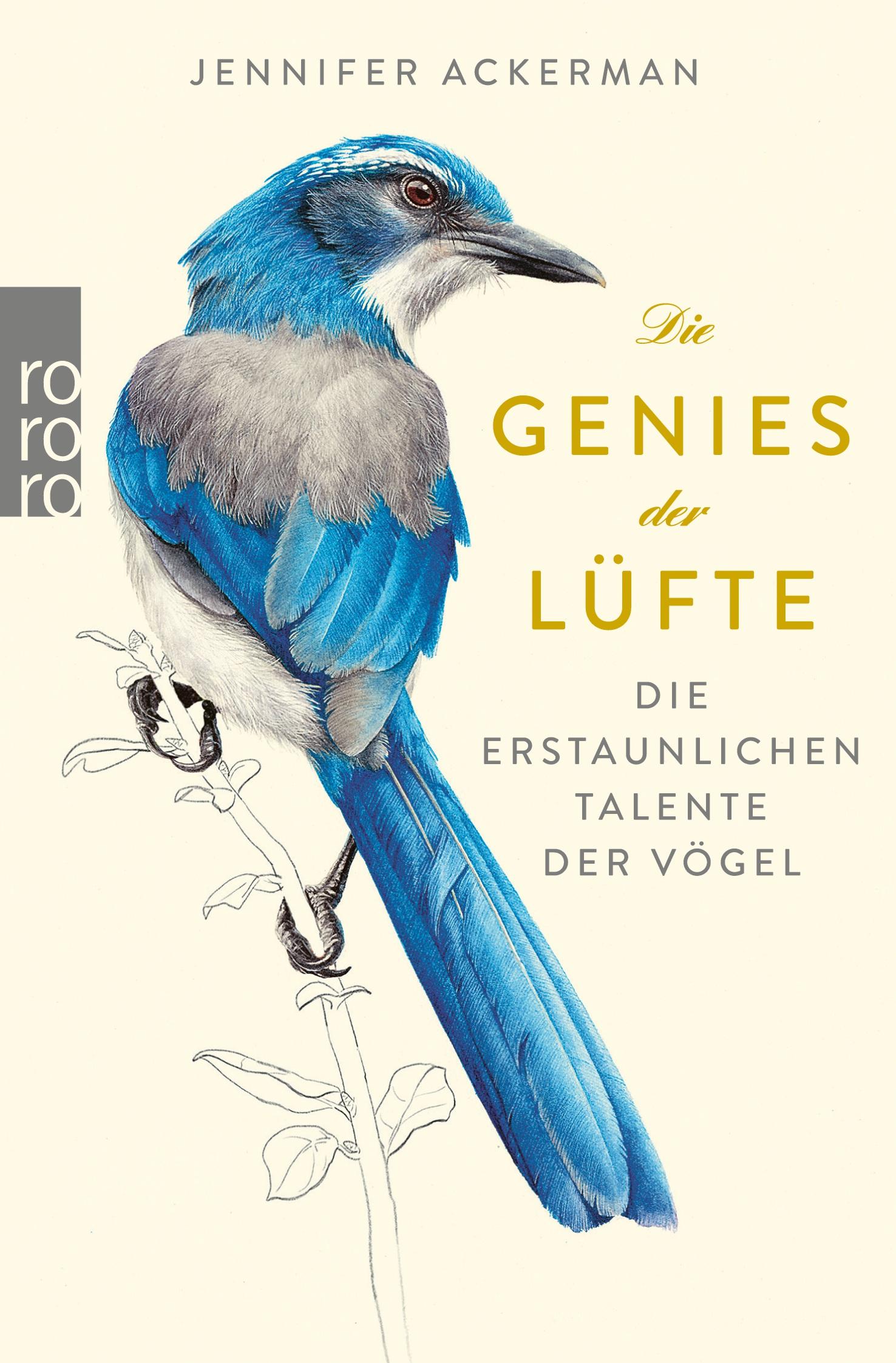 Die Genies der Lüfte