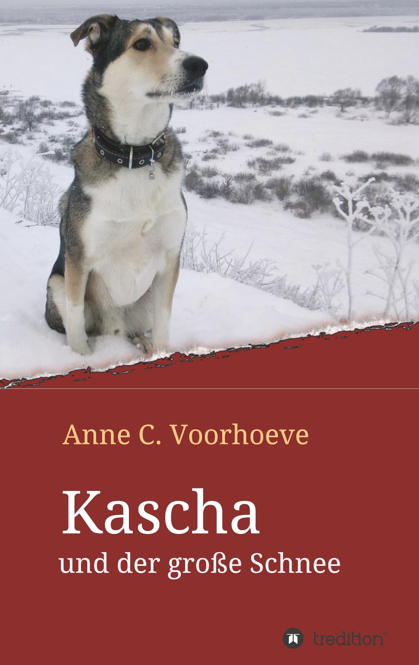 Kascha und der große Schnee