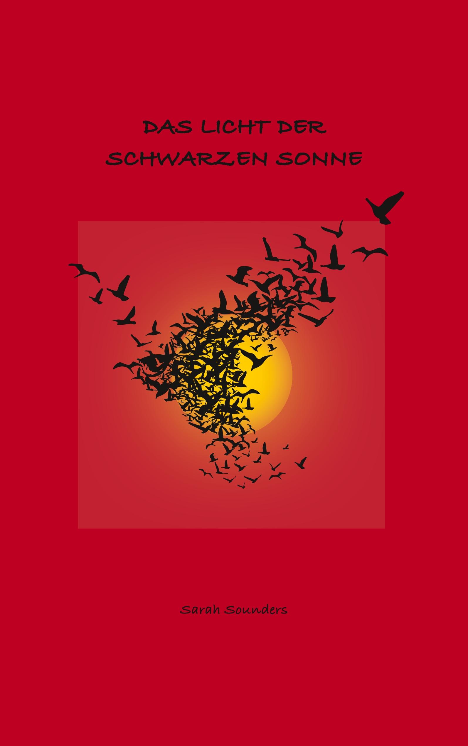 Das Licht der schwarzen Sonne