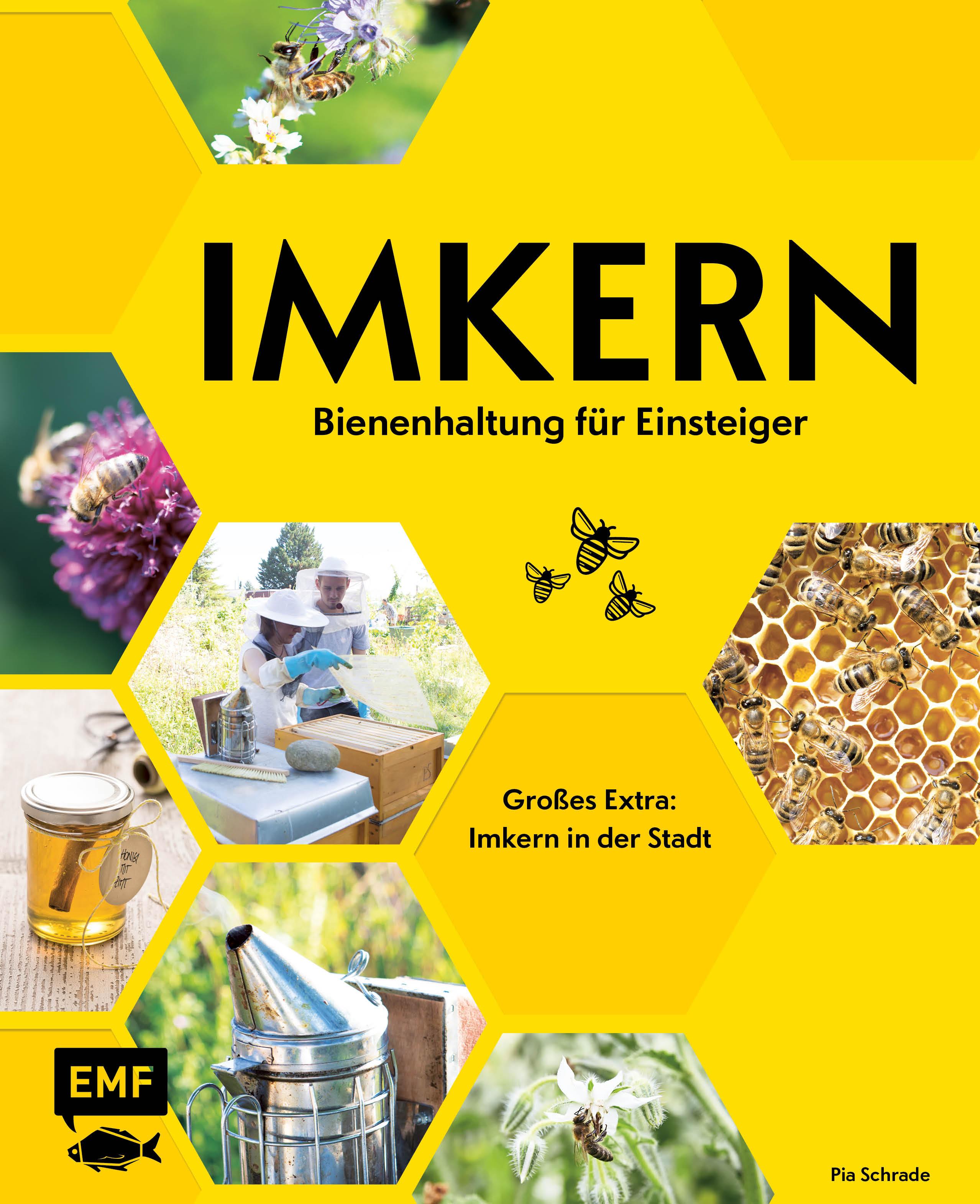 Imkern - Bienenhaltung für Einsteiger