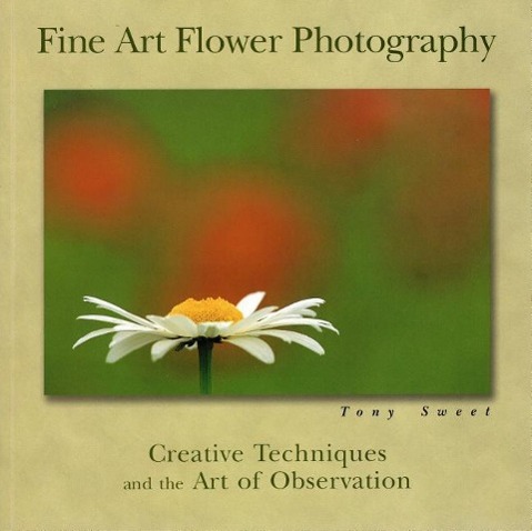 Fine Art Flower Photography