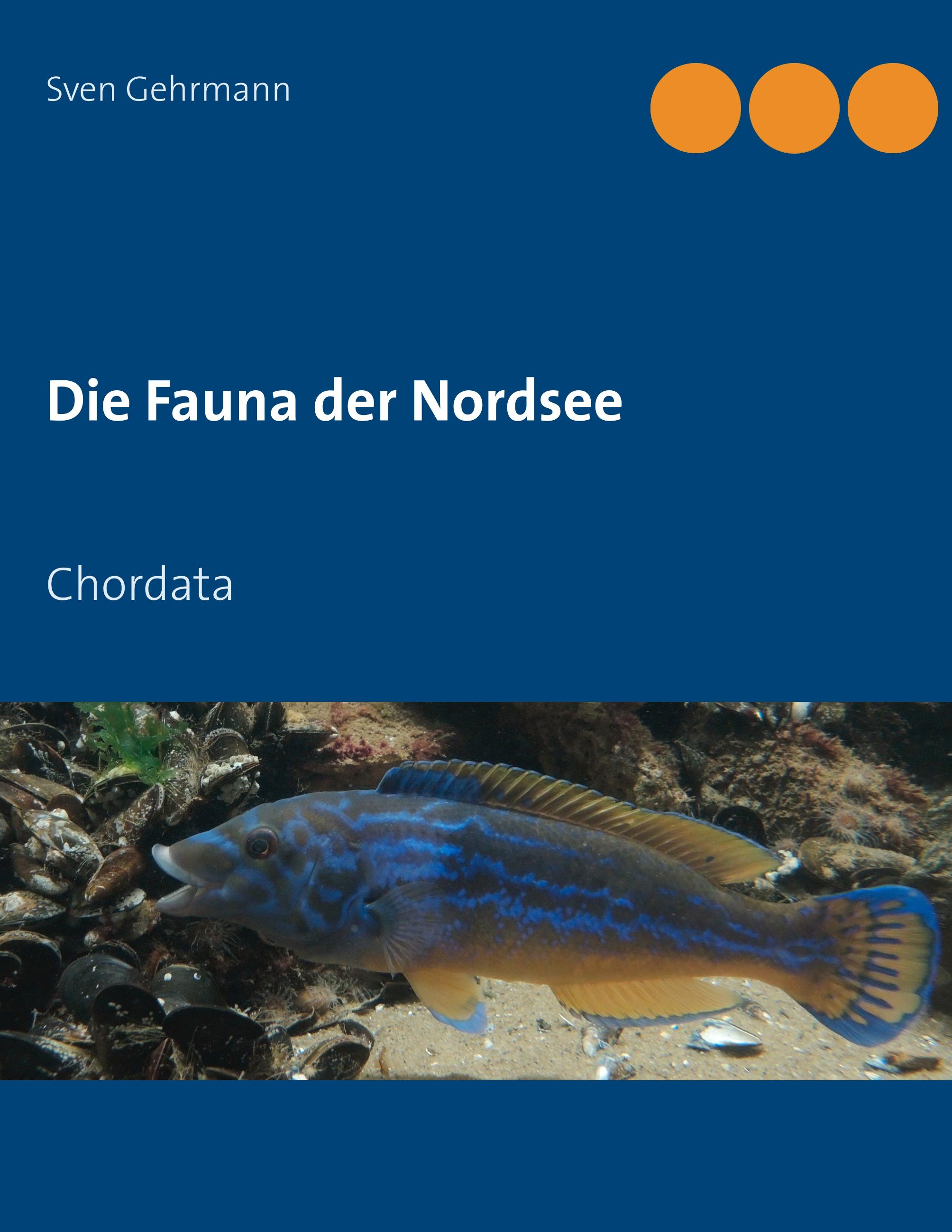 Die Fauna der Nordsee