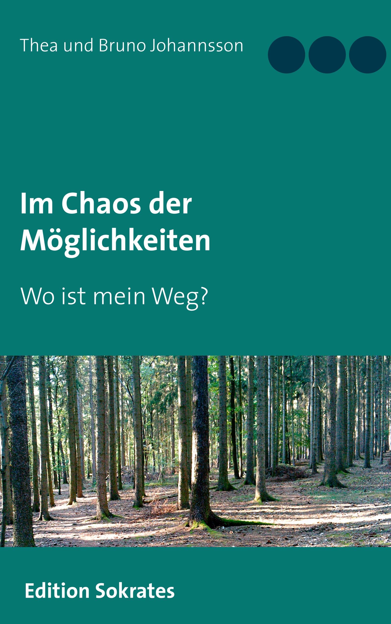 Im Chaos der Möglichkeiten