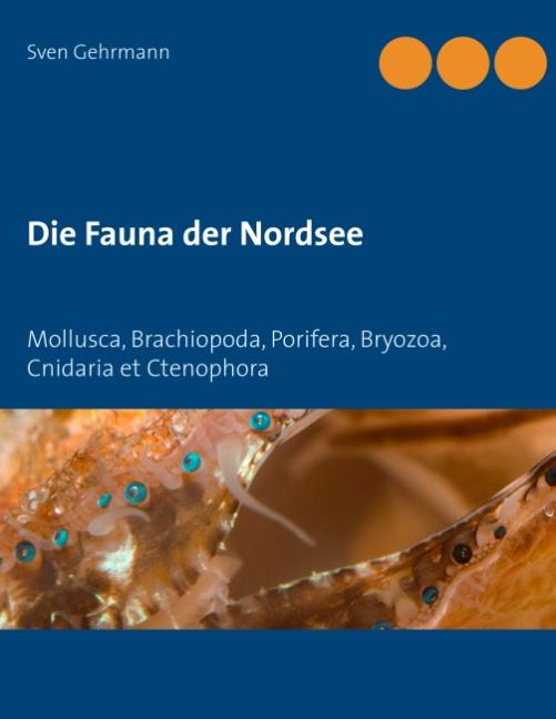 Die Fauna der Nordsee