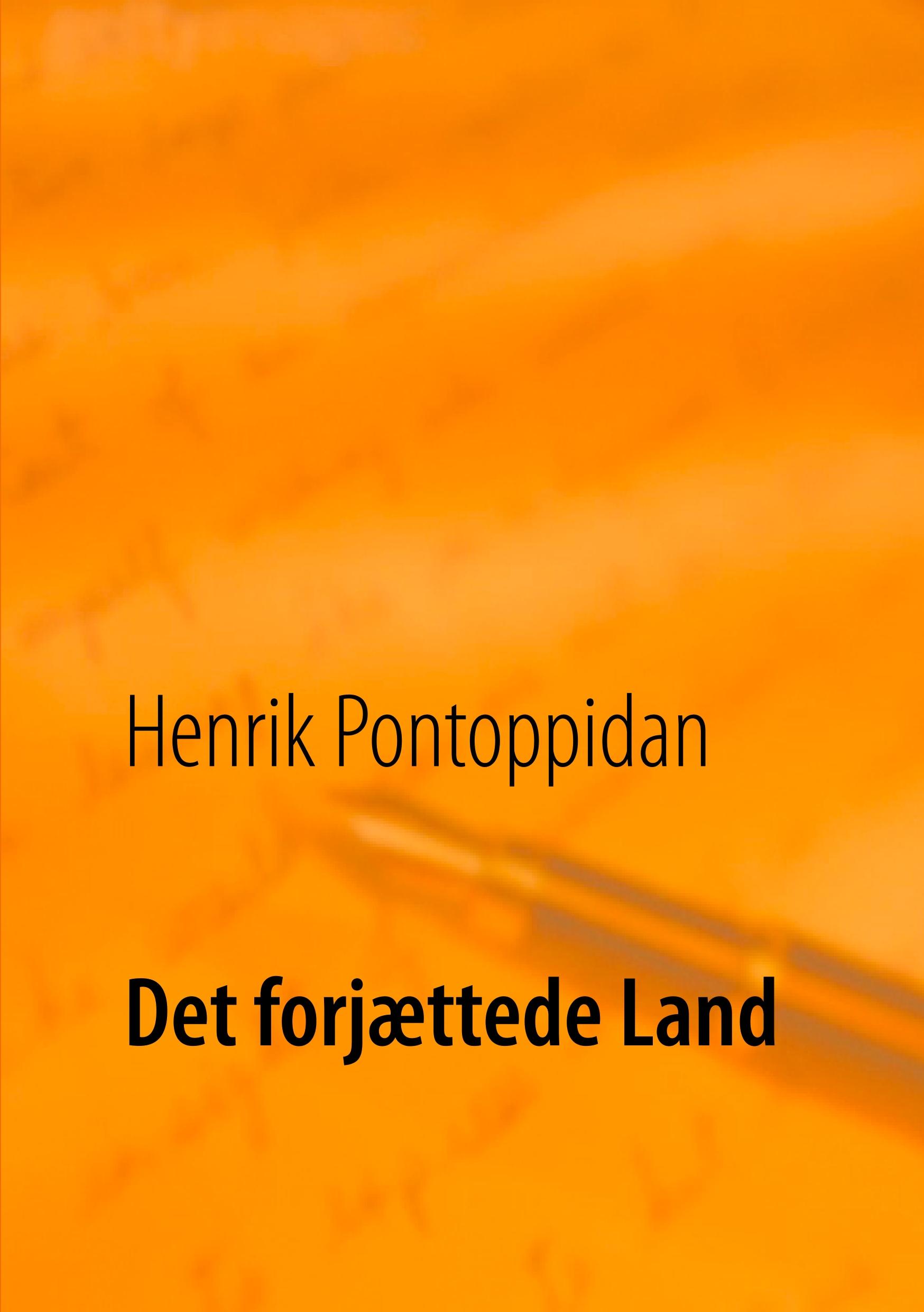 Det forjættede Land