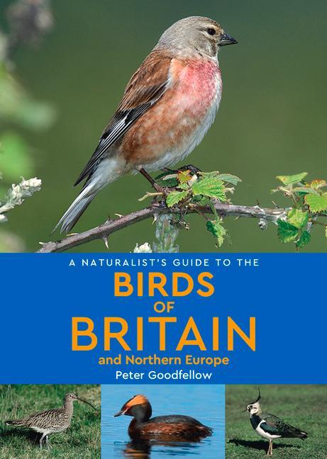 A Naturalist's Guide to the Birds of Britain and Northern Europe (2nd edition)