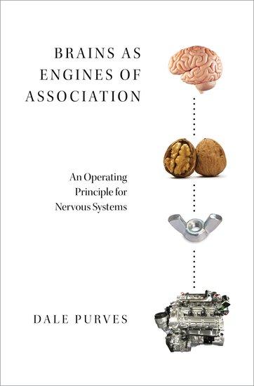 Brains as Engines of Association C