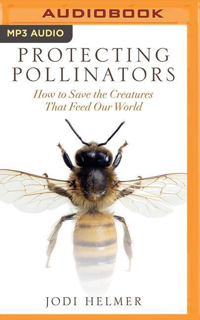 Protecting Pollinators: How to Save the Creatures That Feed Our World