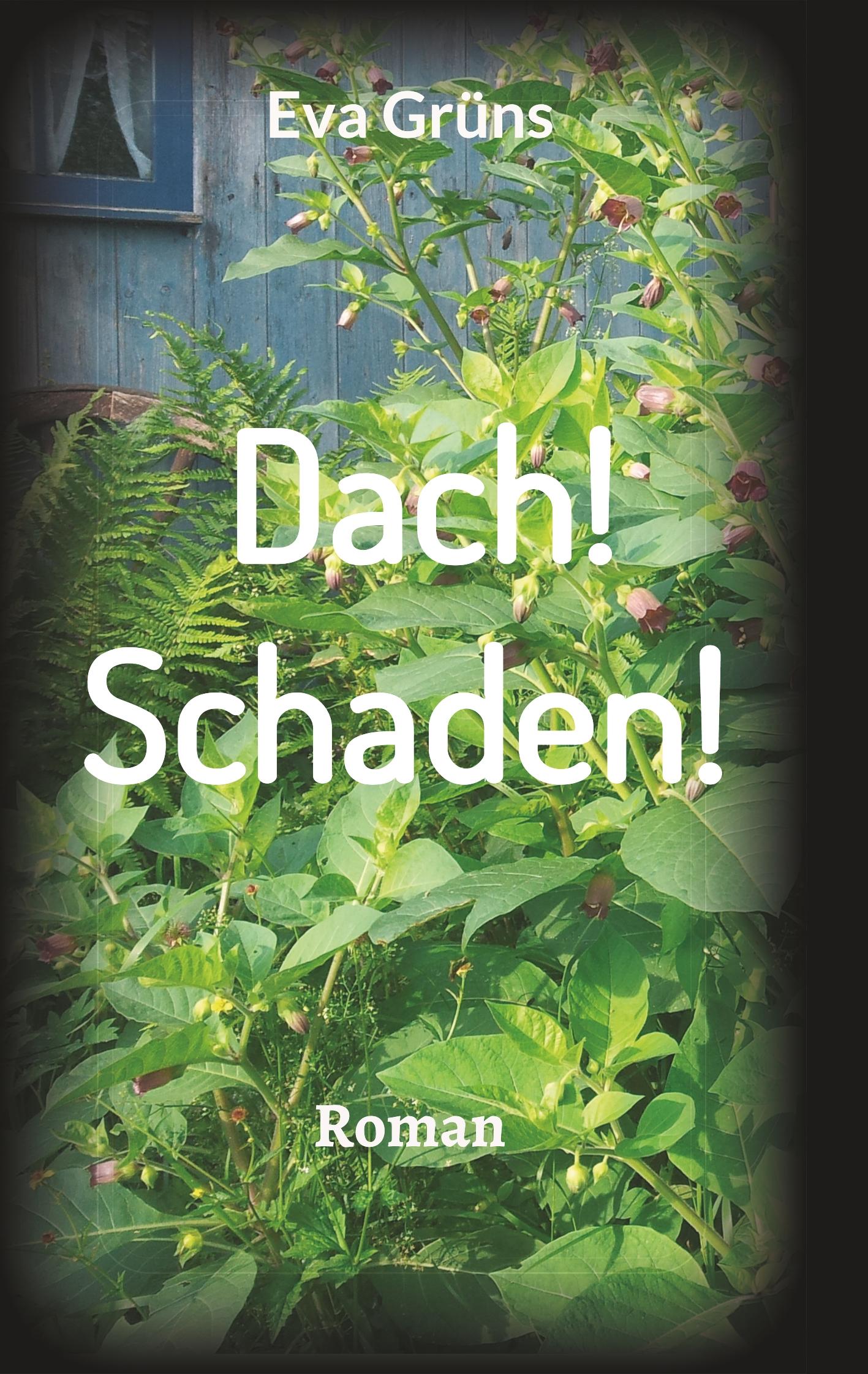 Dach! Schaden!