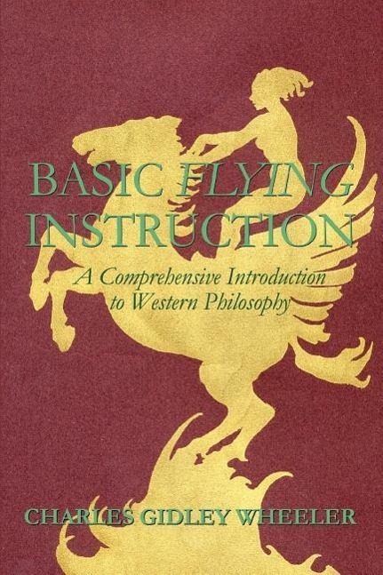 Basic Flying Instruction