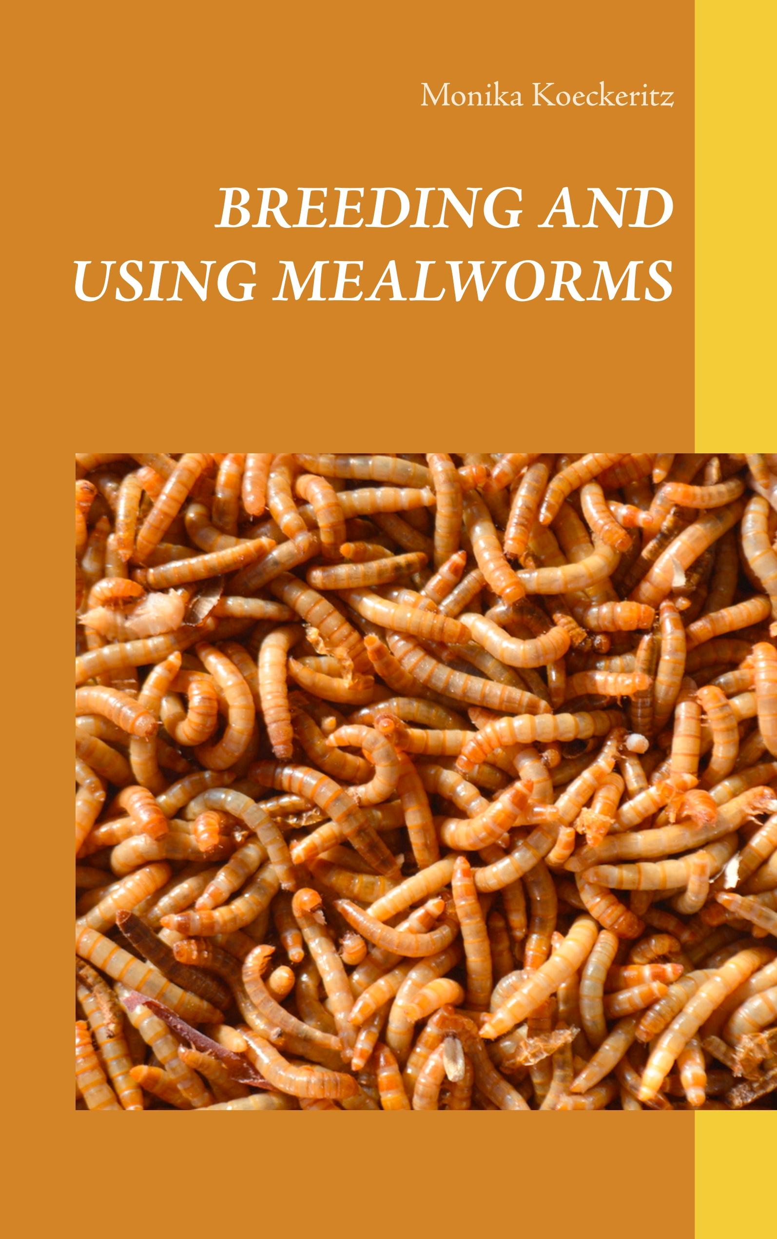 Breeding and using mealworms