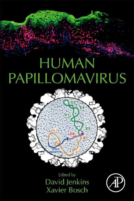 Human Papillomavirus