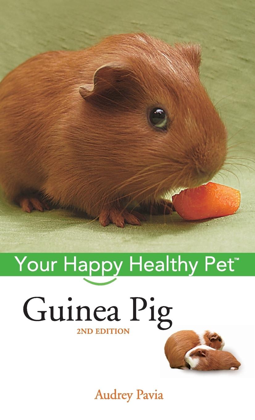 Guinea Pig