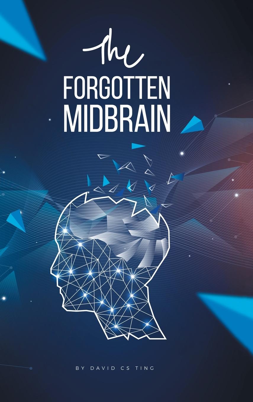 The Forgotten Midbrain