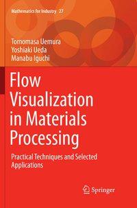 Flow Visualization in Materials Processing