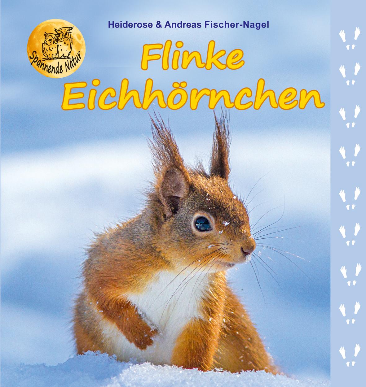 Flinke Eichhörnchen