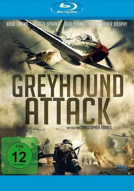 Greyhound Attack