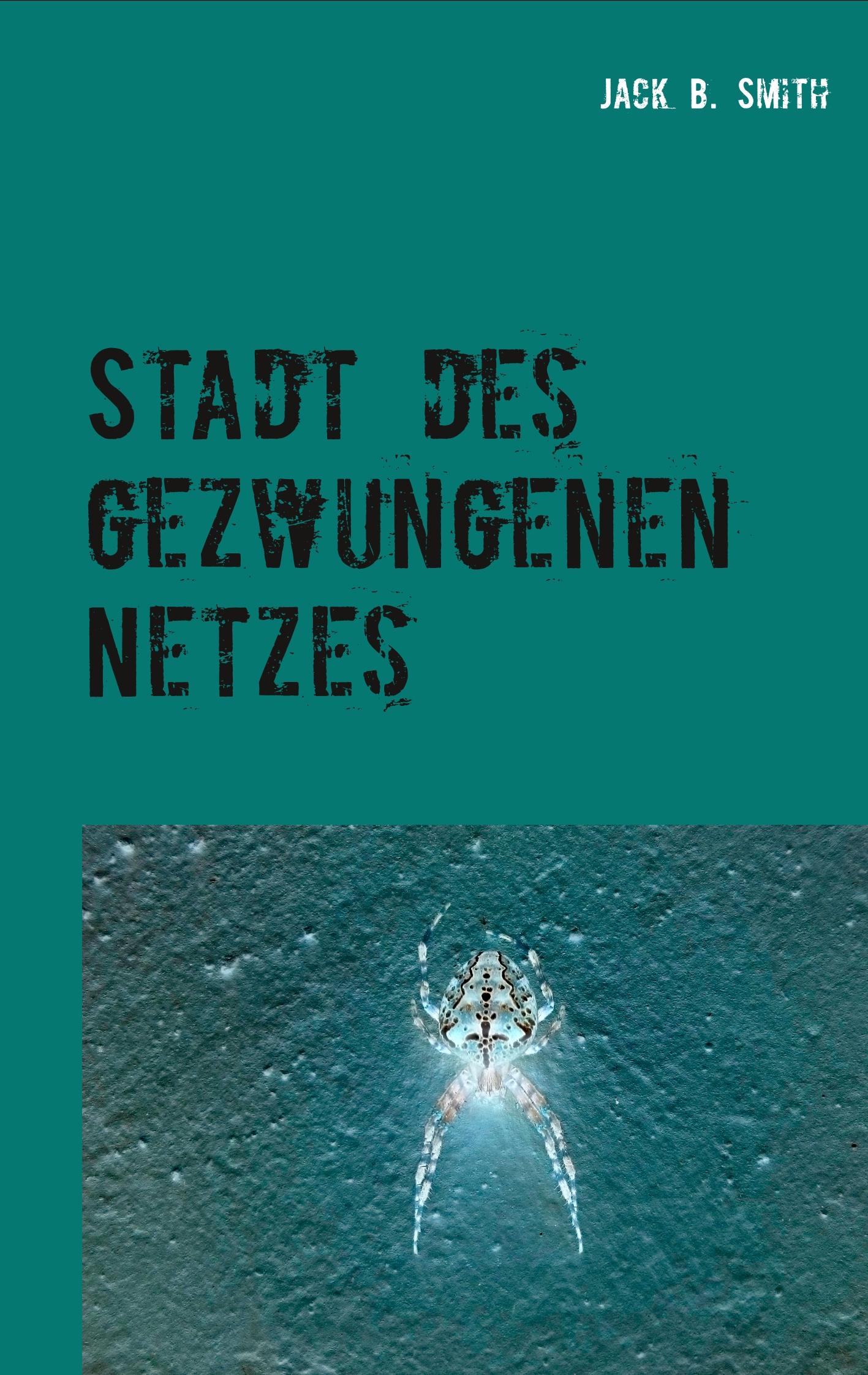 Stadt des gezwungenen Netzes