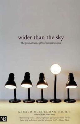 Wider Than the Sky