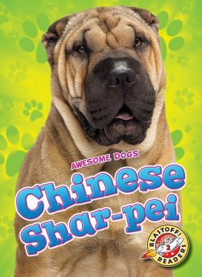 Chinese Shar-Pei