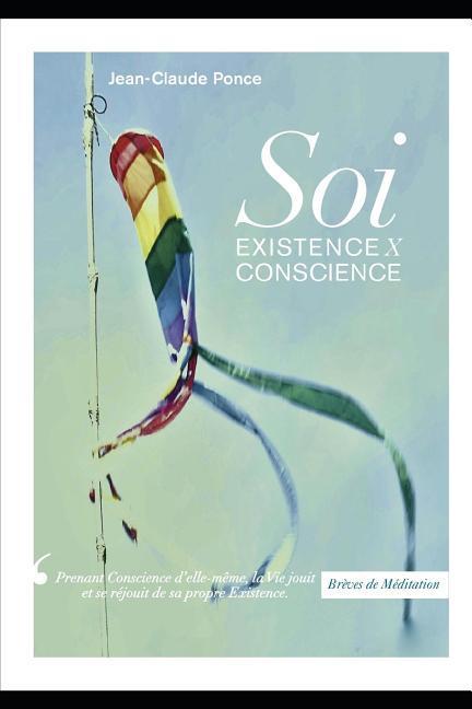 Brèves de Méditation: Soi Existence X Conscience