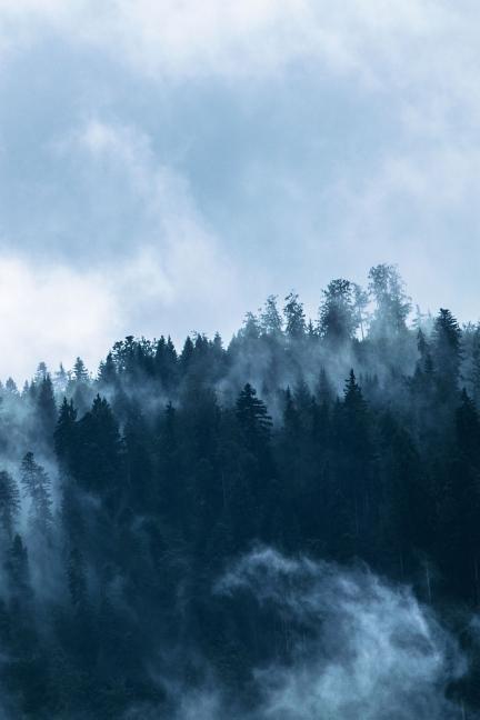 Foggy Mountain Morning: A Relaxing Morning on a Mountain.