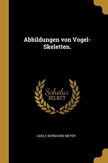 Abbildungen Von Vogel-Skeletten.