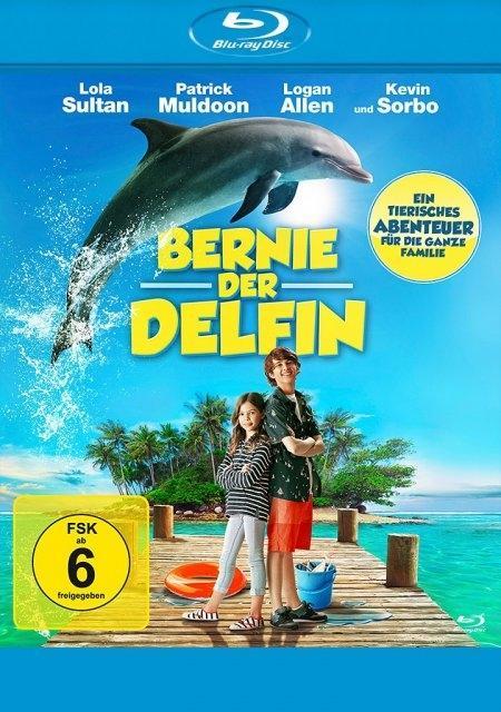 Bernie, der Delfin