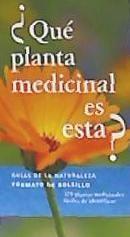 ¿Qué planta medicinal es esta?