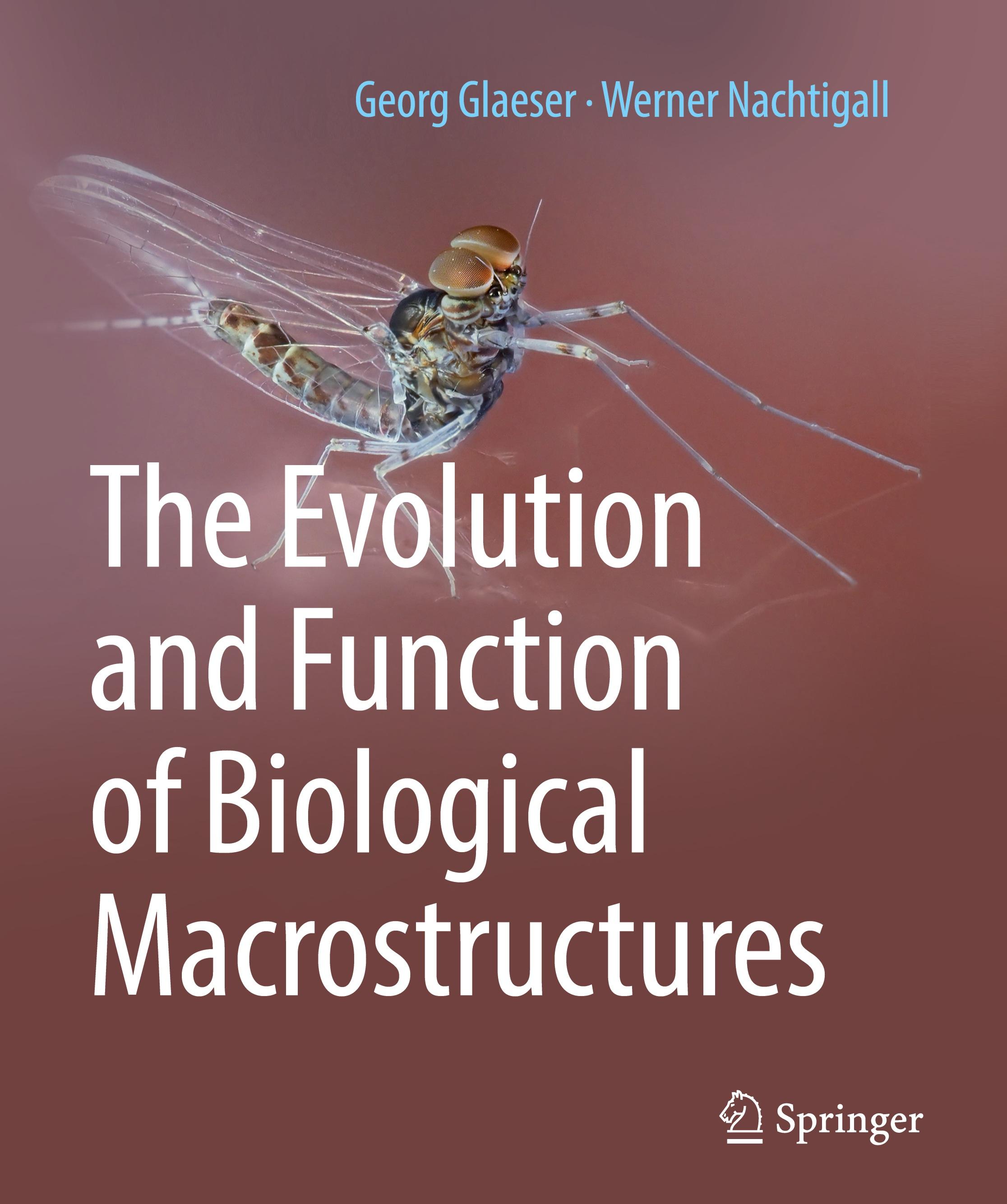 The Evolution and Function of Biological Macrostructures