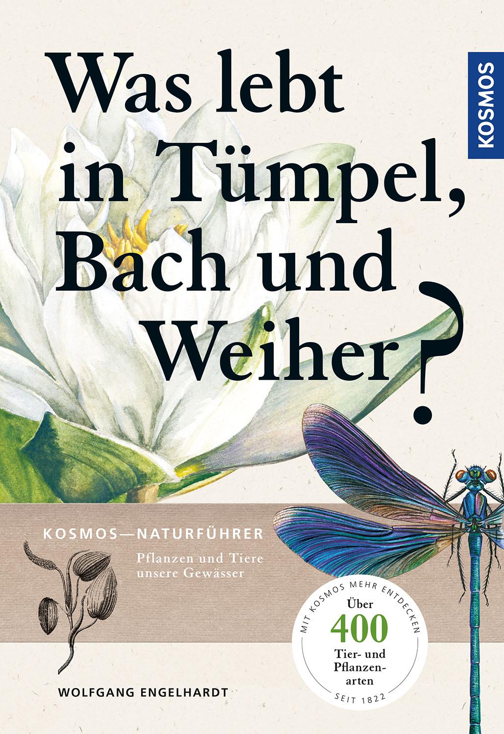 Was lebt in Tümpel, Bach und Weiher?