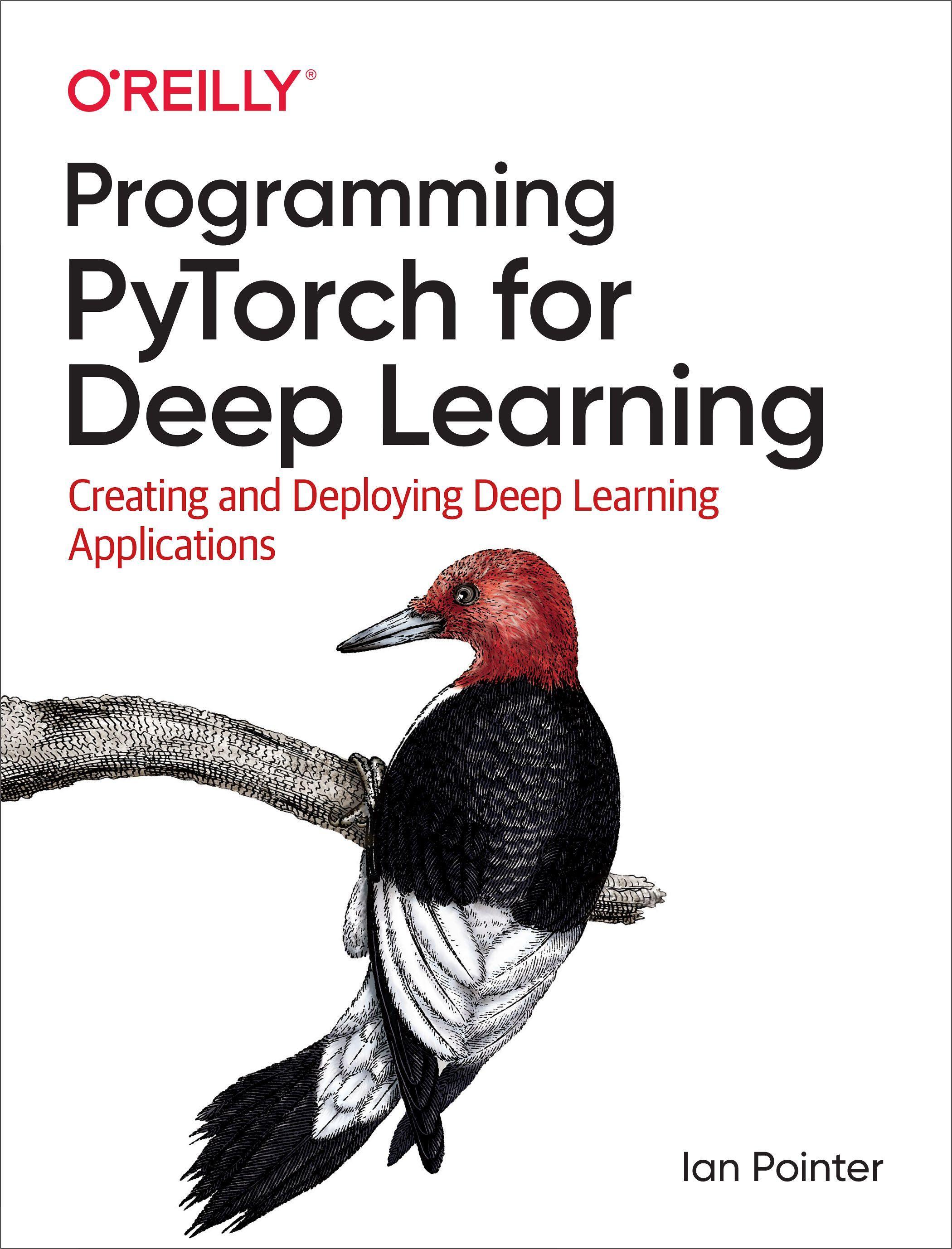 Programming Pytorch for Deep Learning